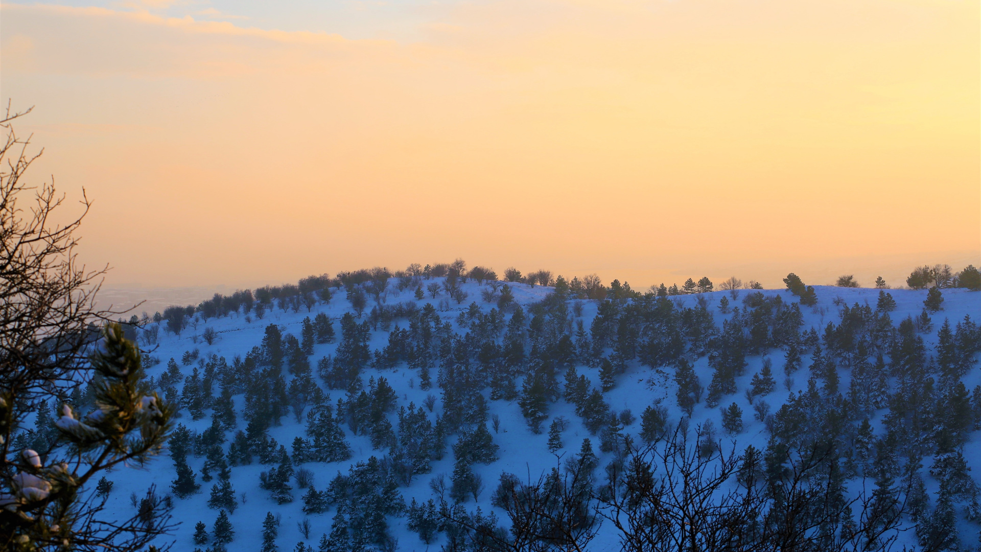 Winter, Hilltop, Sunset, Nature, Wallpaper - Wallpaper - HD Wallpaper 