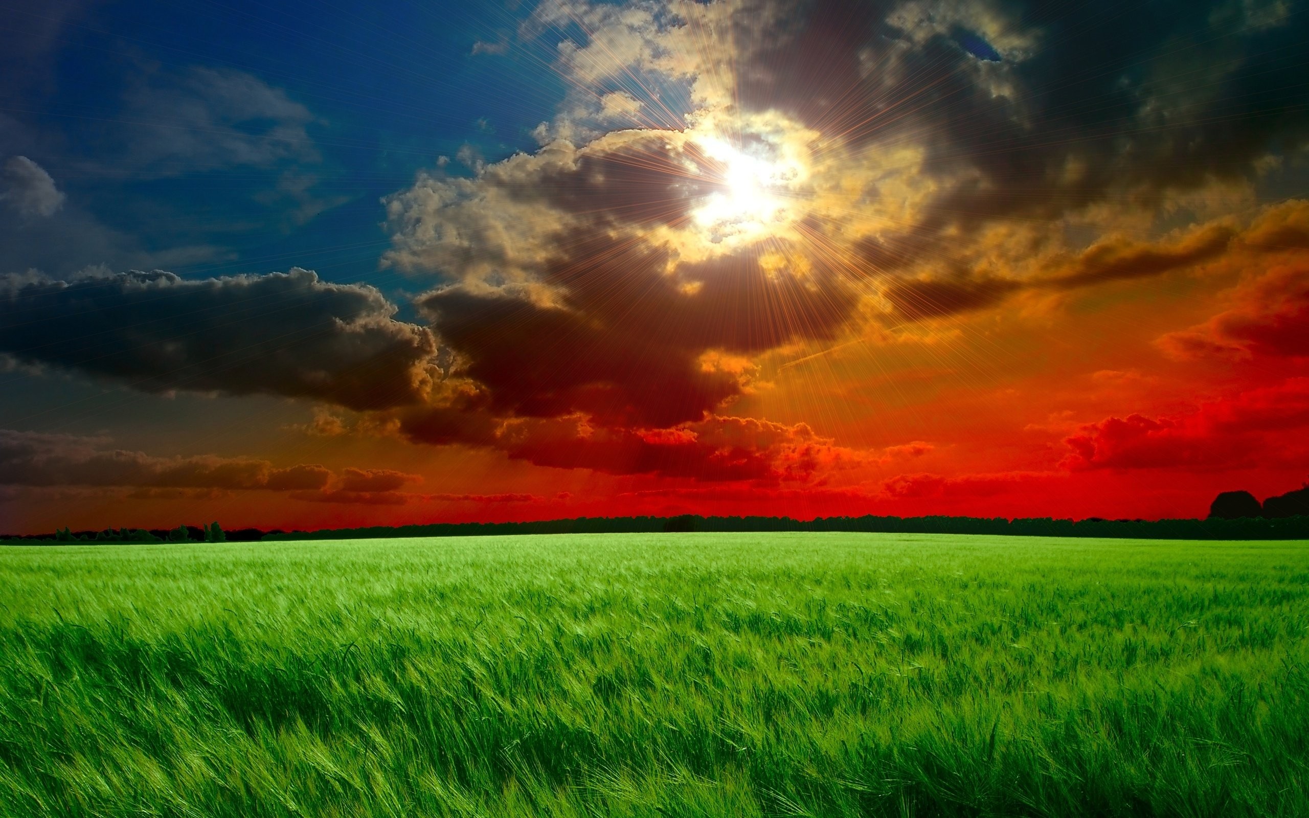 Red And Green Nature - HD Wallpaper 
