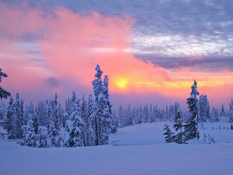 Winter Sunset In Pink Wallpaper - Christmas Pictures Of Nature - HD Wallpaper 