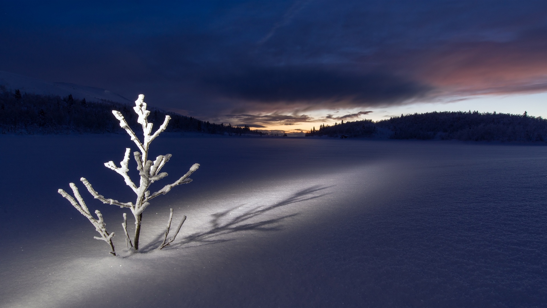 Ночь Поле Зима - HD Wallpaper 