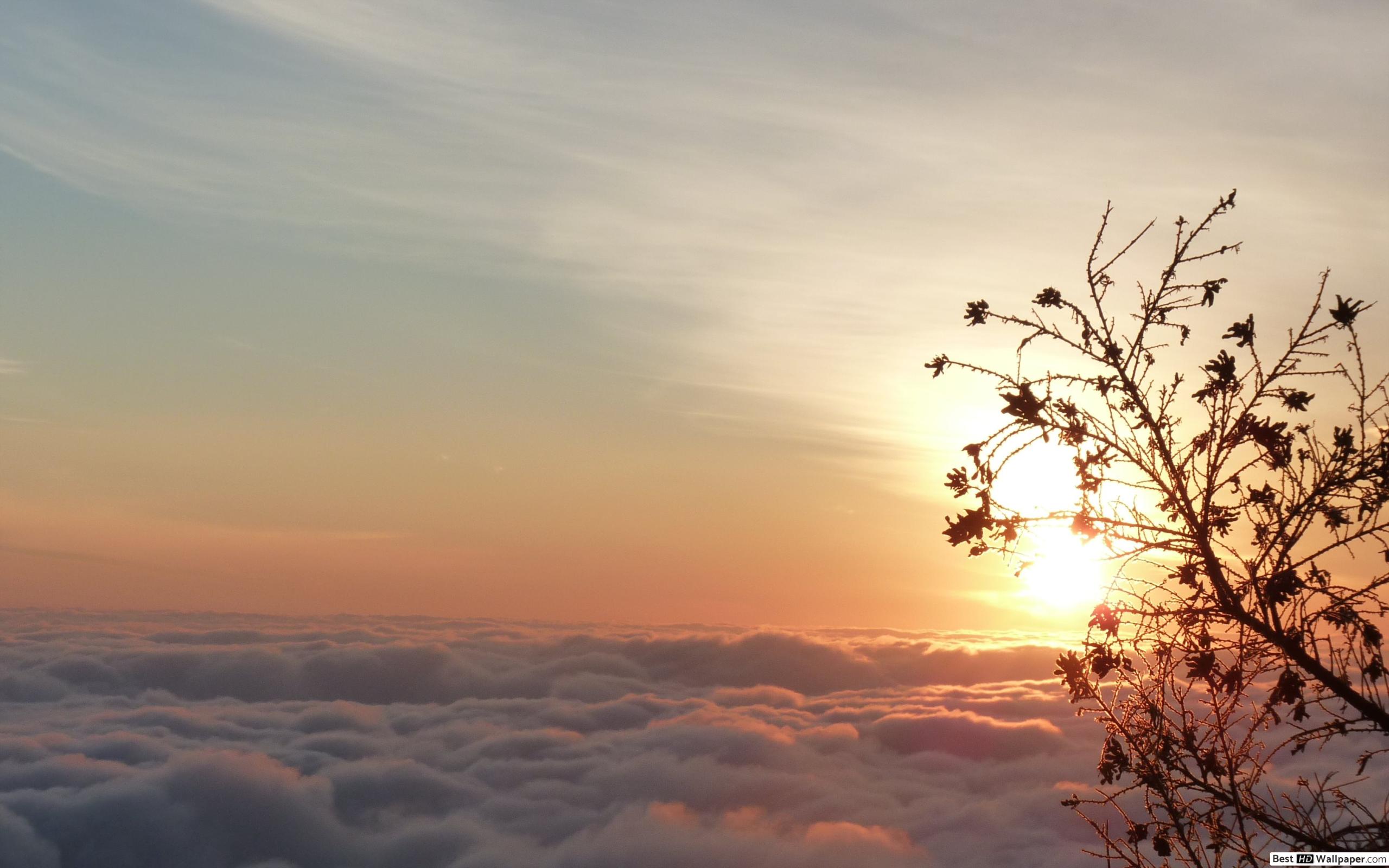 ท้องฟ้า สดใส ยาม เช้า - HD Wallpaper 