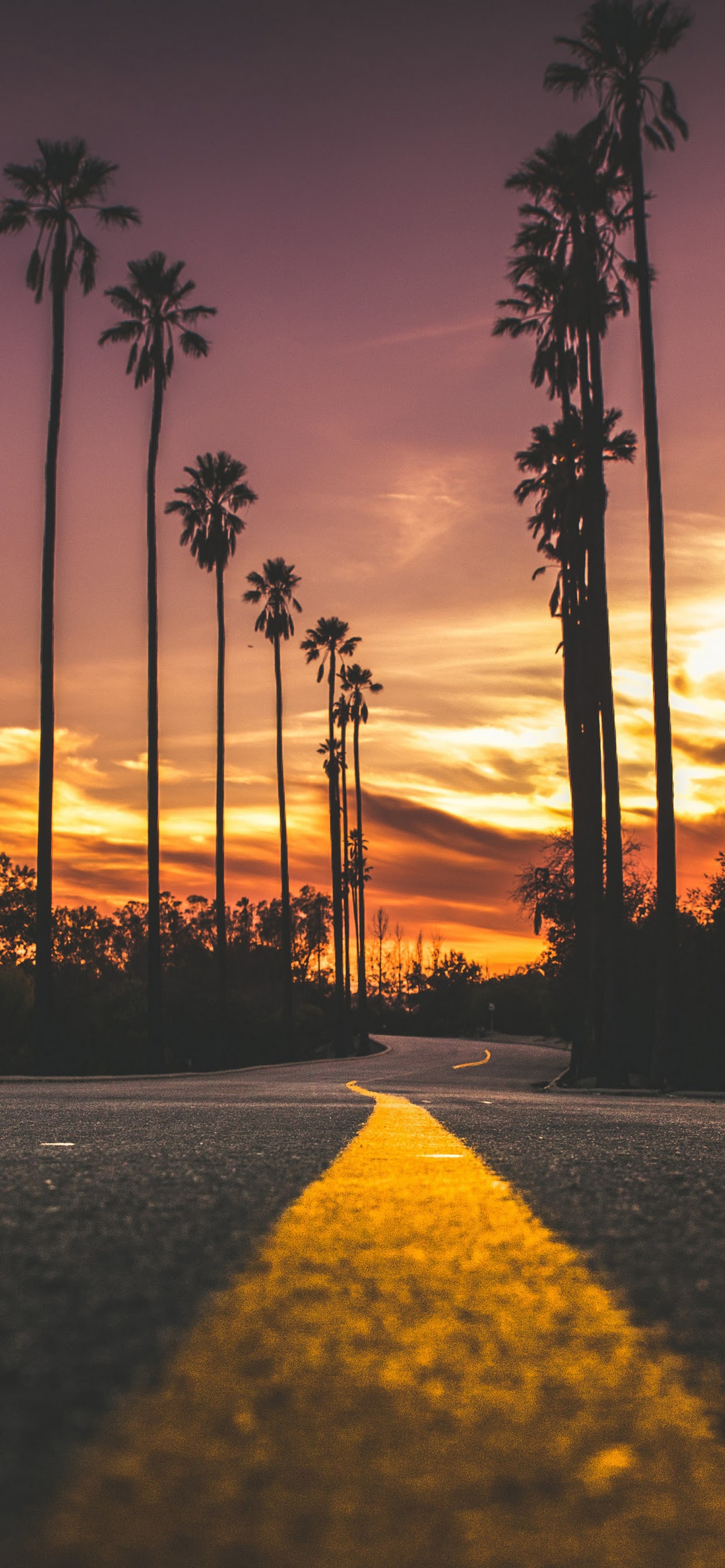 Sunset, Road, Landscape, Scenery, 4k, - Hd Wallpaper For Mi A3 - 1242x2688 Wallpaper Sunset, Road, Landscape, Scenery, 4k, - Hd Wallpaper For Mi A3 - 1242x2688 Wallpaper