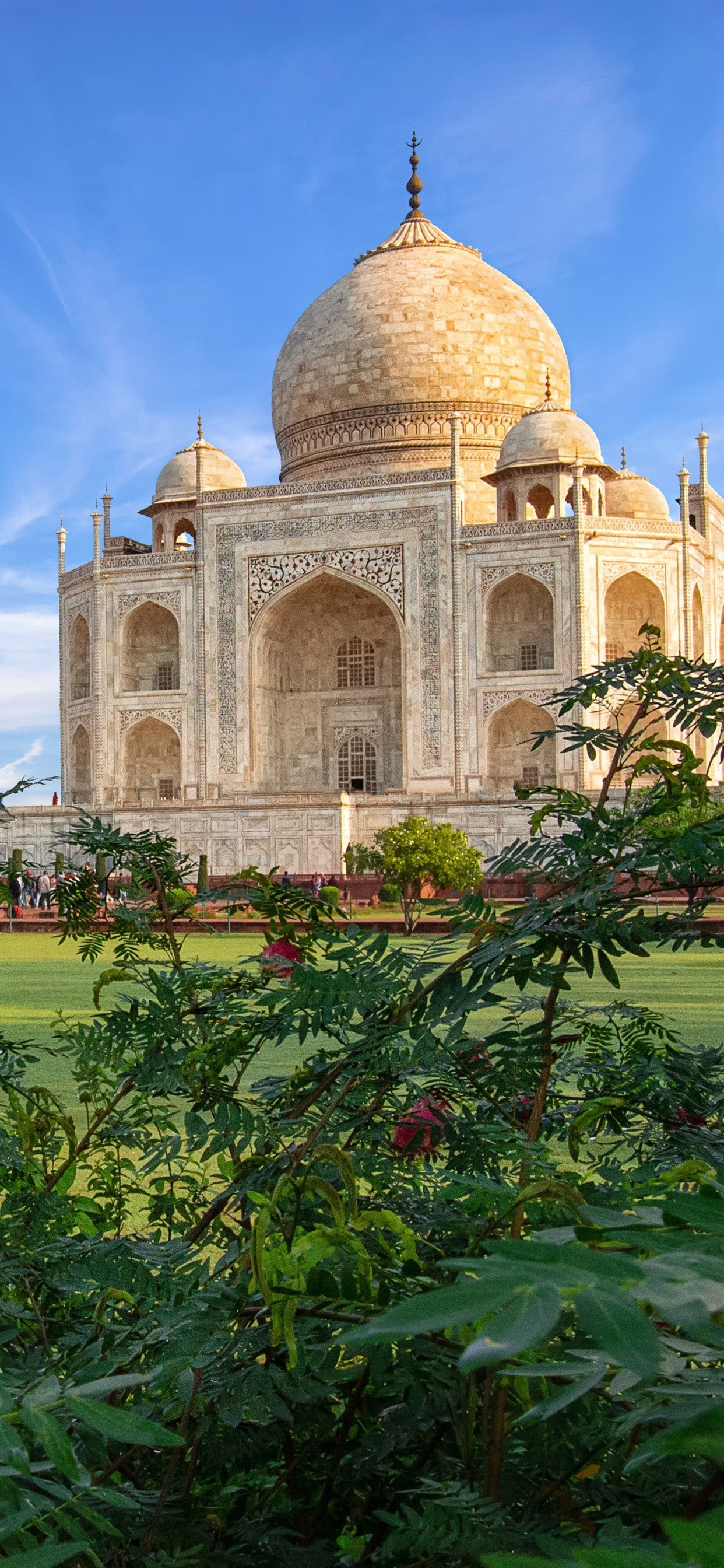 Iphone Wallpaper India, Taj Mahal, Mosque, Bushes - Taj Mahal - HD Wallpaper 