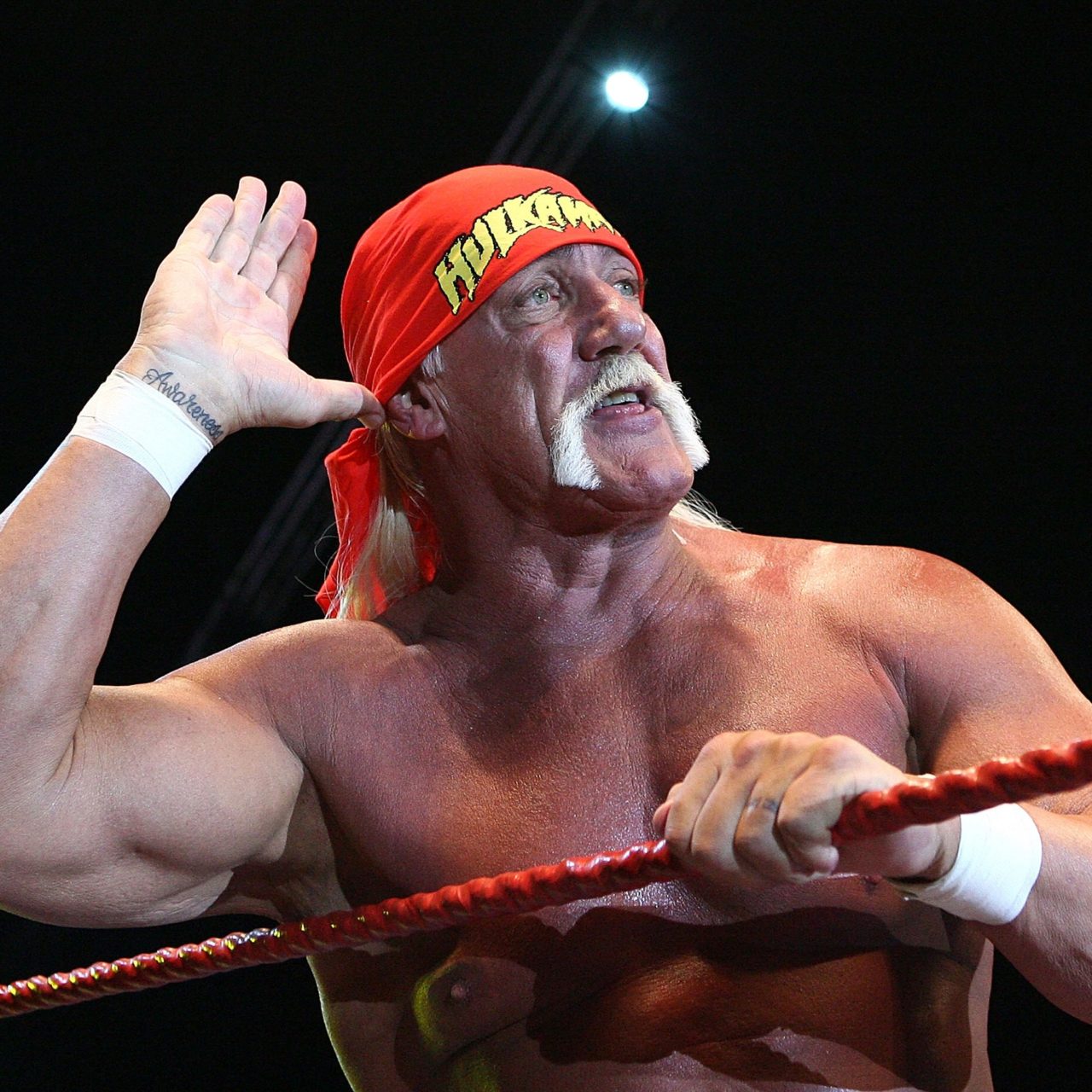 Rey Mysterio Hulk Hogan - HD Wallpaper 
