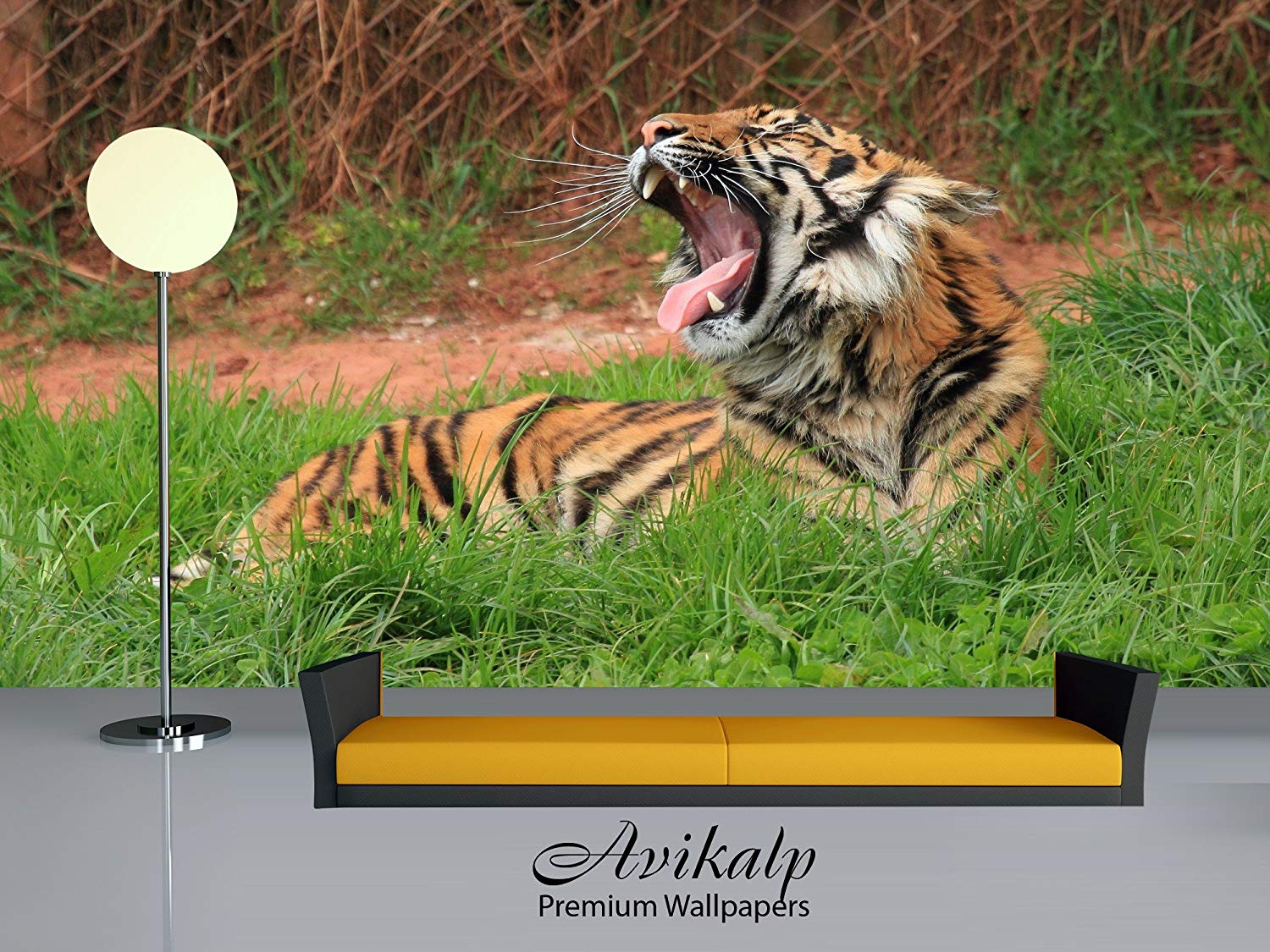 Wallpaper - HD Wallpaper 