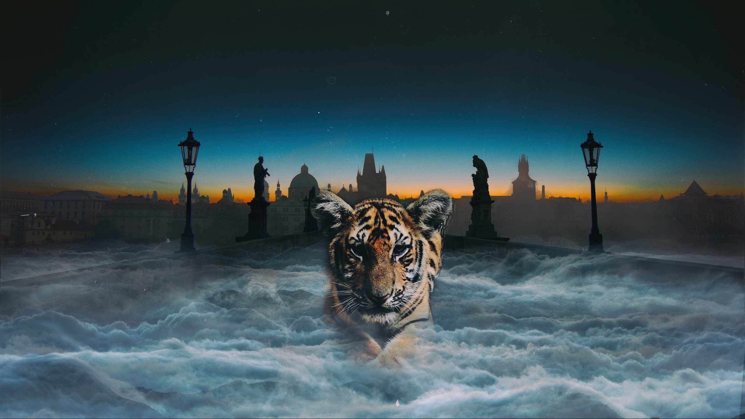 Wallpaper Tiger Cub, Photoshop, Clouds, Night - Tigers At Night Wallpaper Hd - HD Wallpaper 