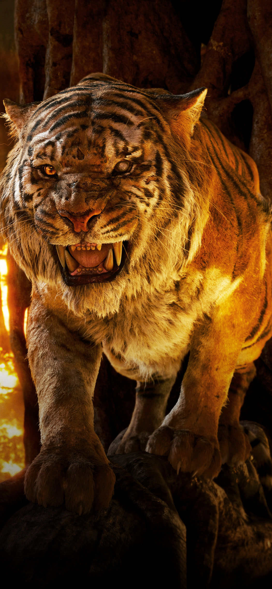 Shere Khan - HD Wallpaper 