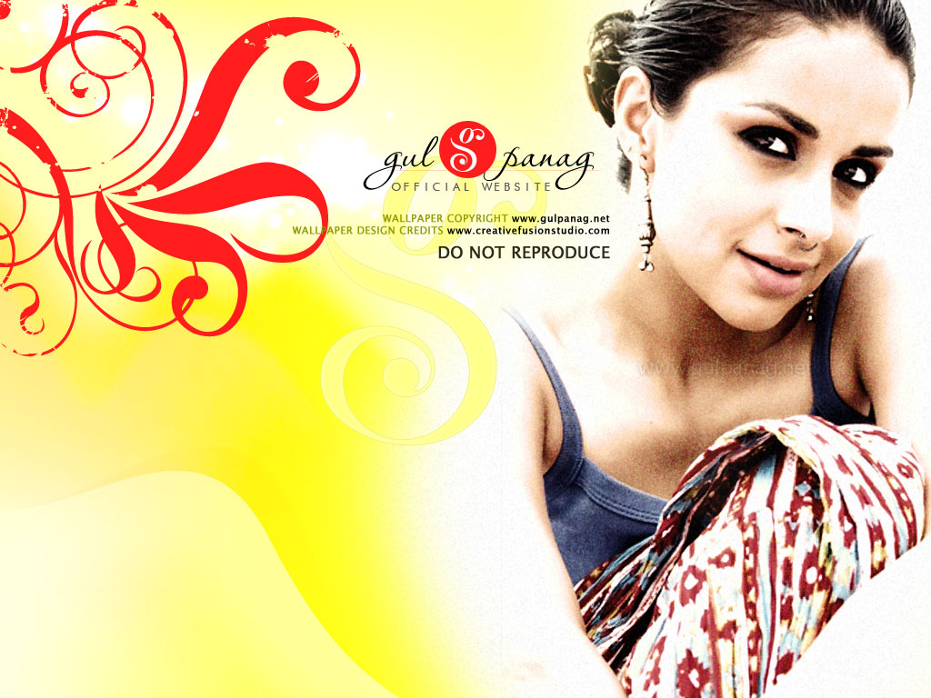 Photo Shoot - HD Wallpaper 