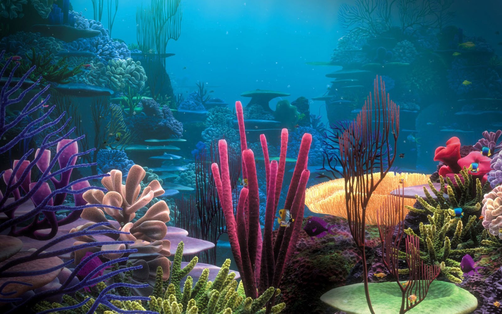 Free Ocean Wallpaper - Ocean Beautiful Coral Reefs - HD Wallpaper 