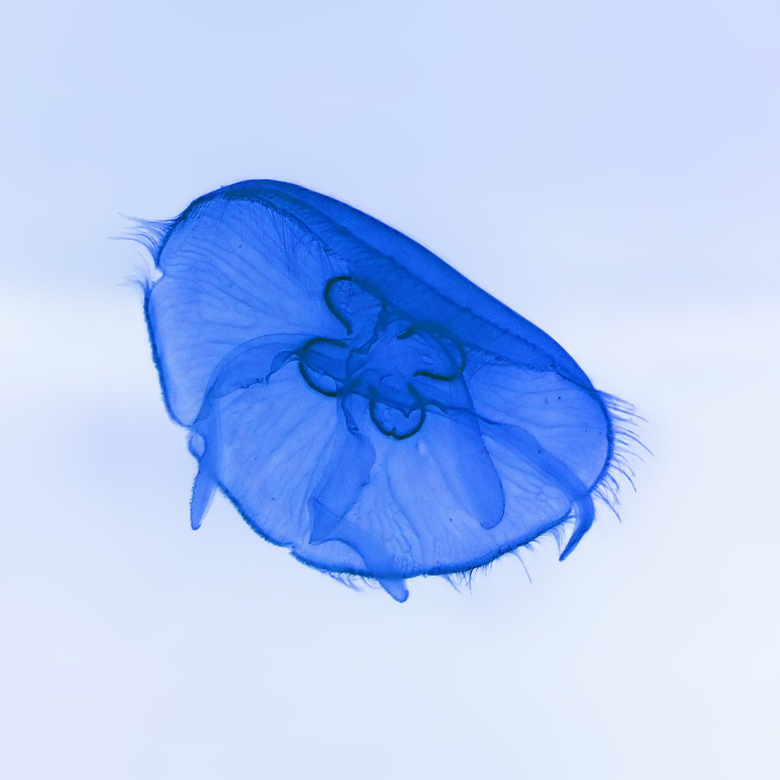 Ocean - HD Wallpaper 