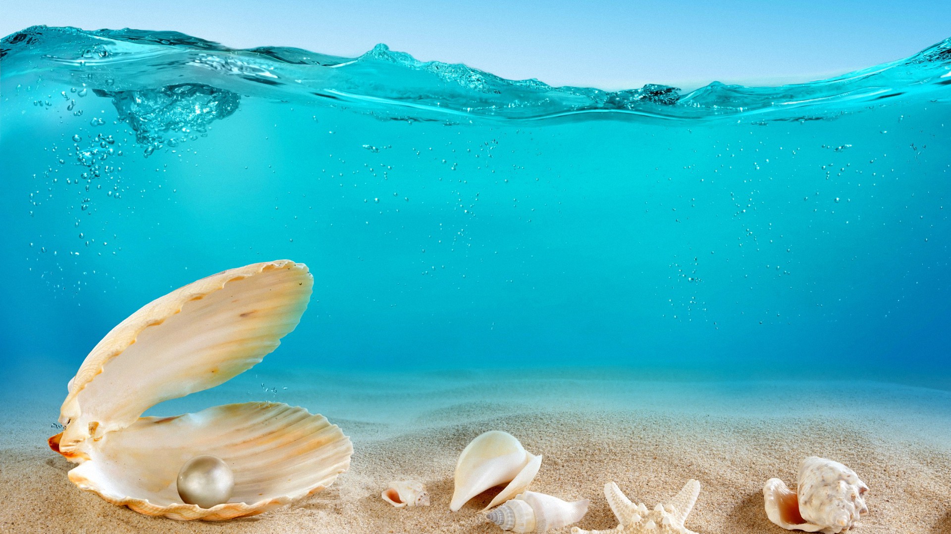 Sea Shell In Ocean - HD Wallpaper 