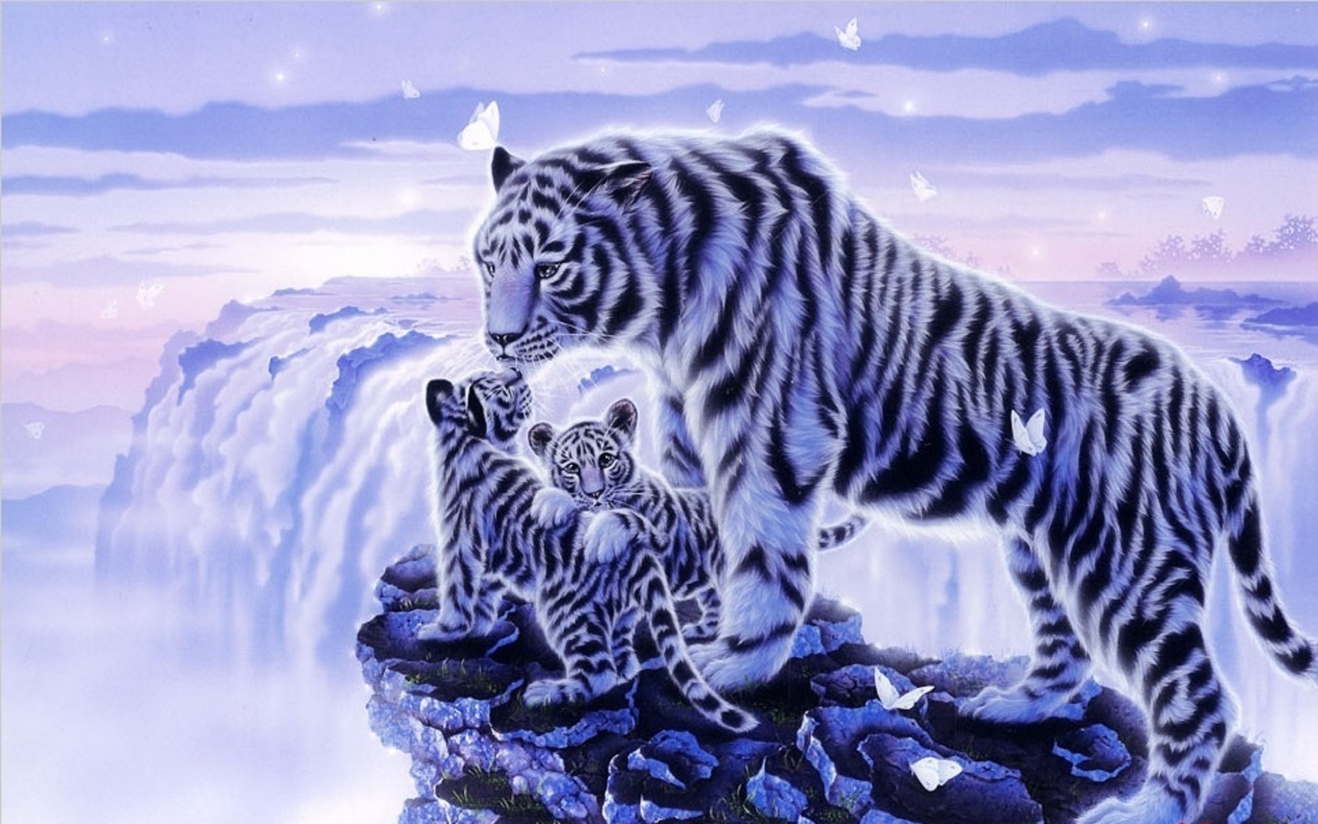 Hd Wallpaper - White Tiger In Snow - HD Wallpaper 