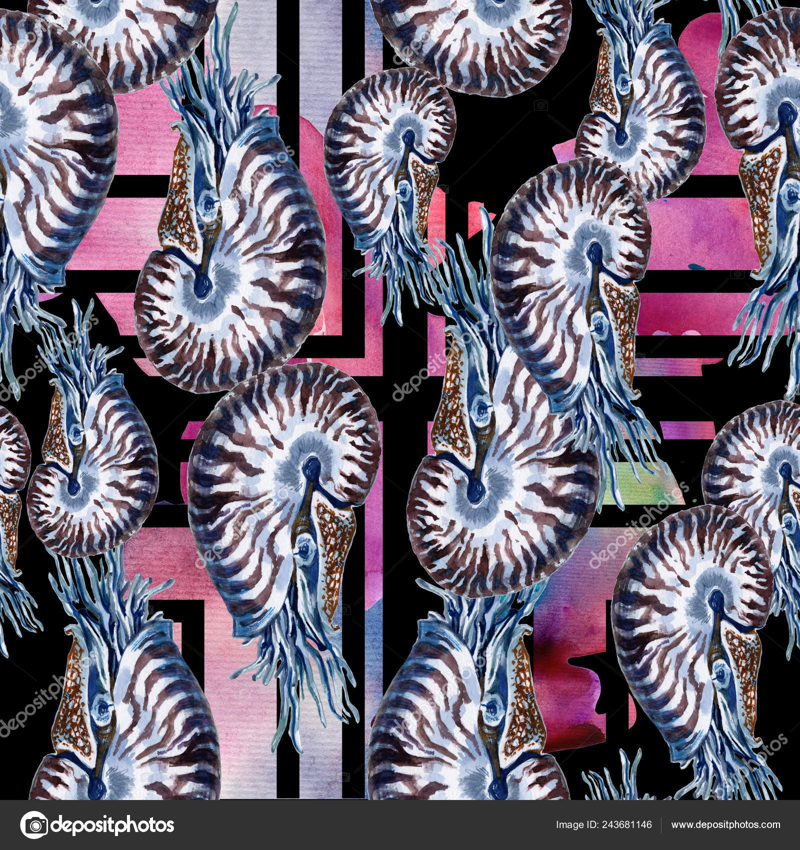 Coral - HD Wallpaper 