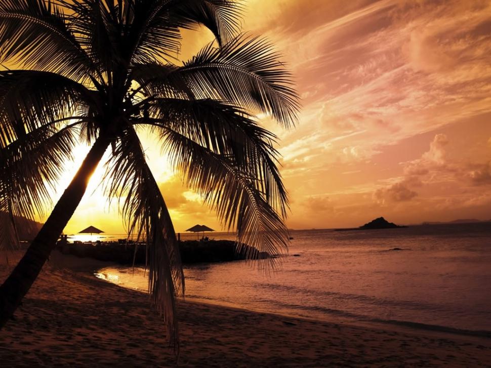 Palm Trees On The Beach Beach Beautiful Ocean Palm - Beach Sunset Wallpaper Hd - HD Wallpaper 