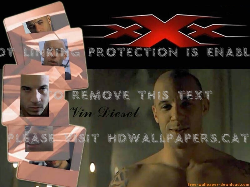 Vin Diesel Lookin Fine Xxx Entertainment - Girl - HD Wallpaper 