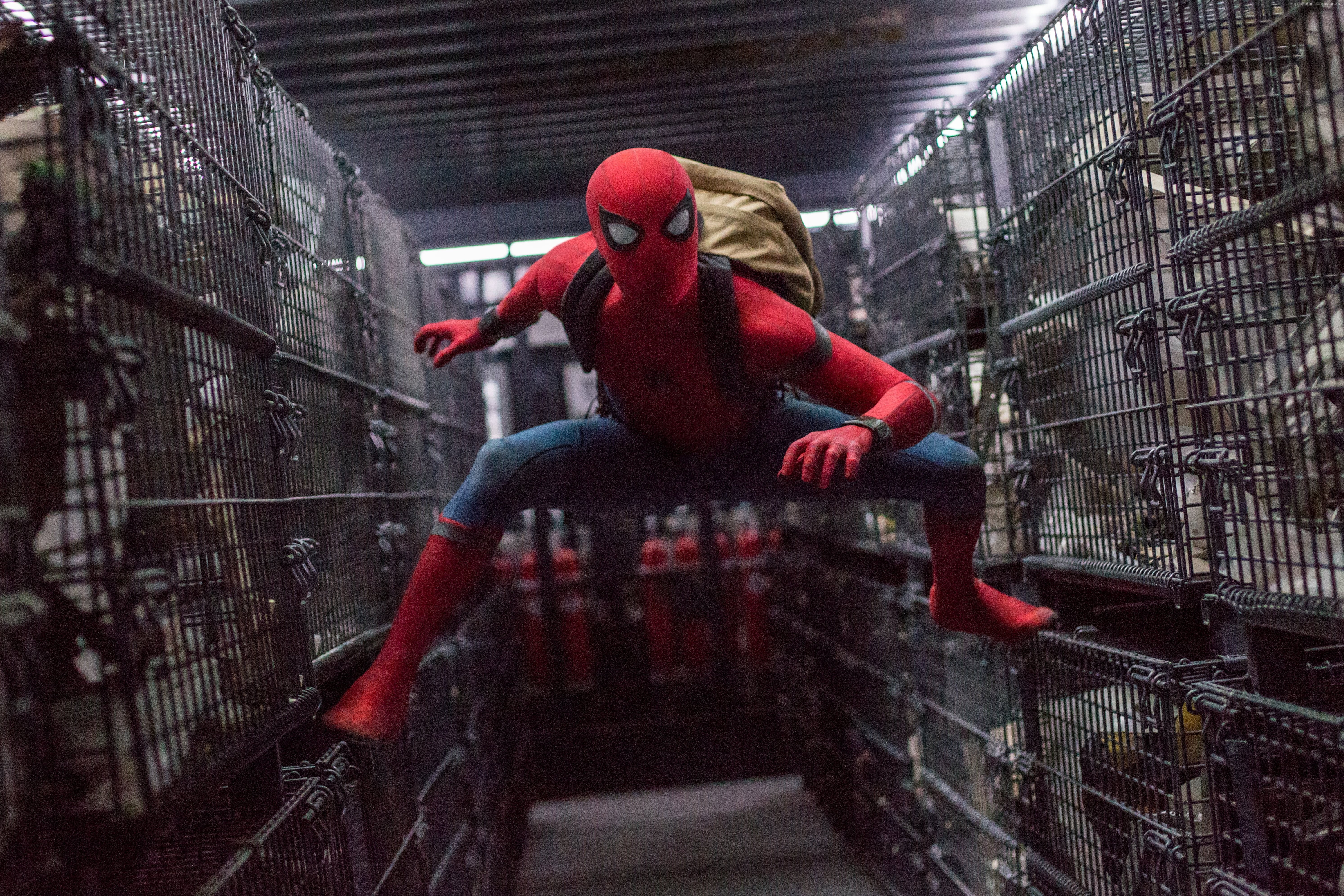 Spider Man Homecoming Scenes - HD Wallpaper 