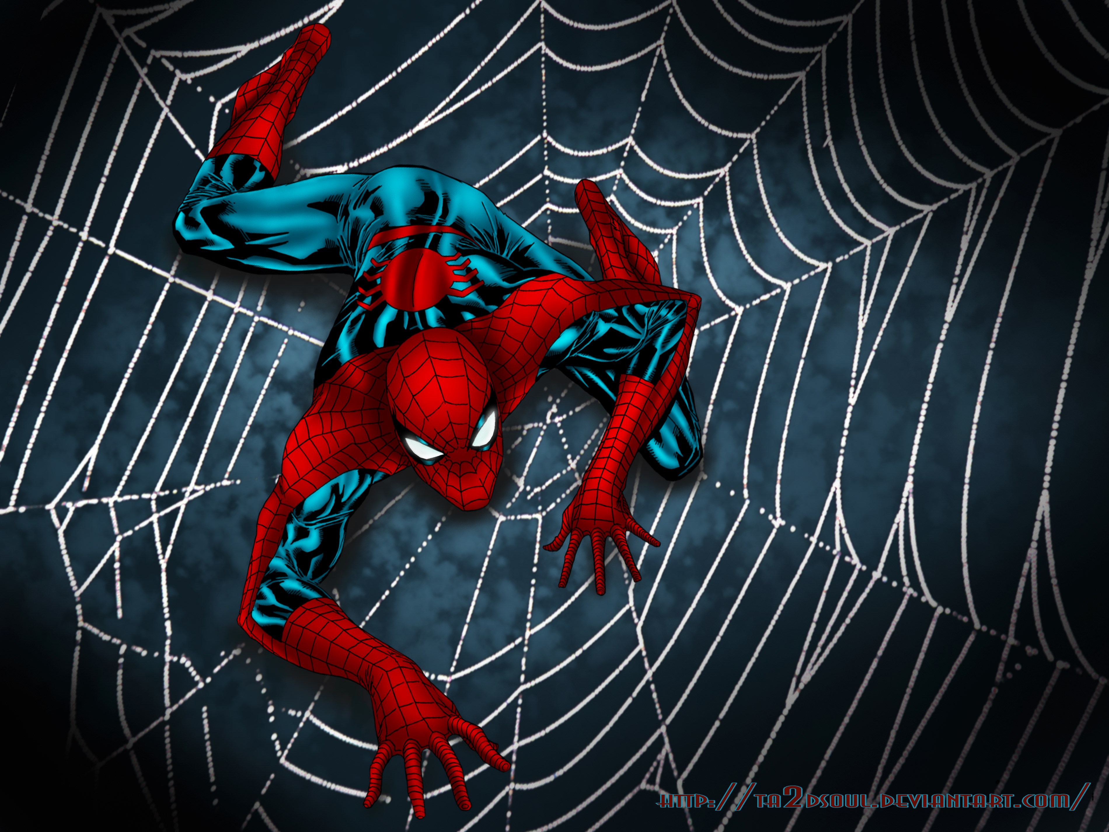 Spiderman Crawling On A Web - HD Wallpaper 