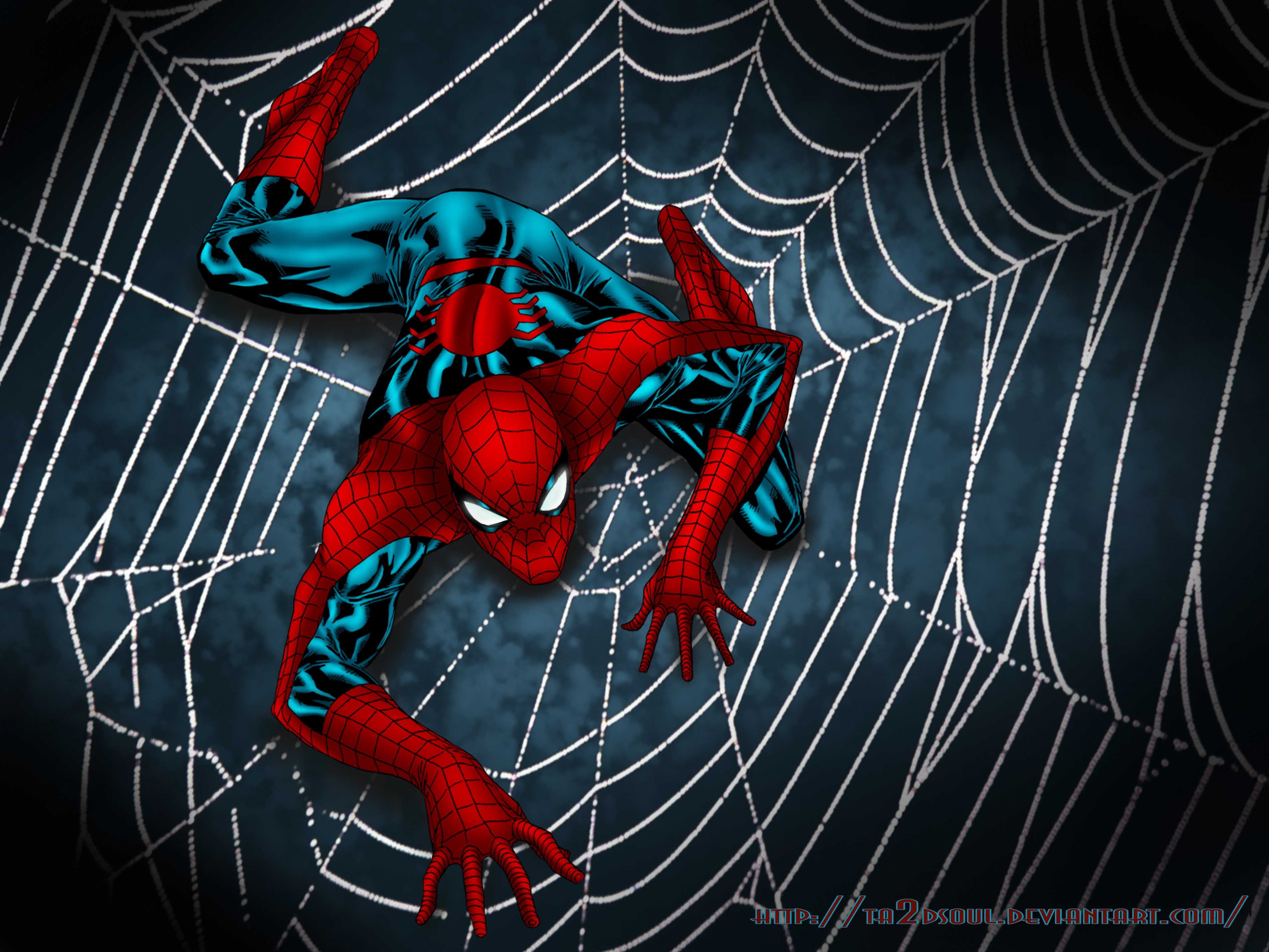 Spiderman Crawling On A Web - 3800x2850 Wallpaper - teahub.io