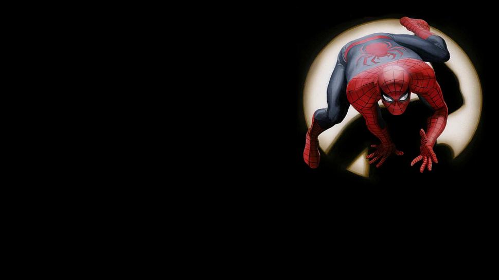 Black Spider-man Hd Wallpaper,cartoon/comic Hd Wallpaper,black - Spider Man Alex Ross Art Hd - HD Wallpaper 