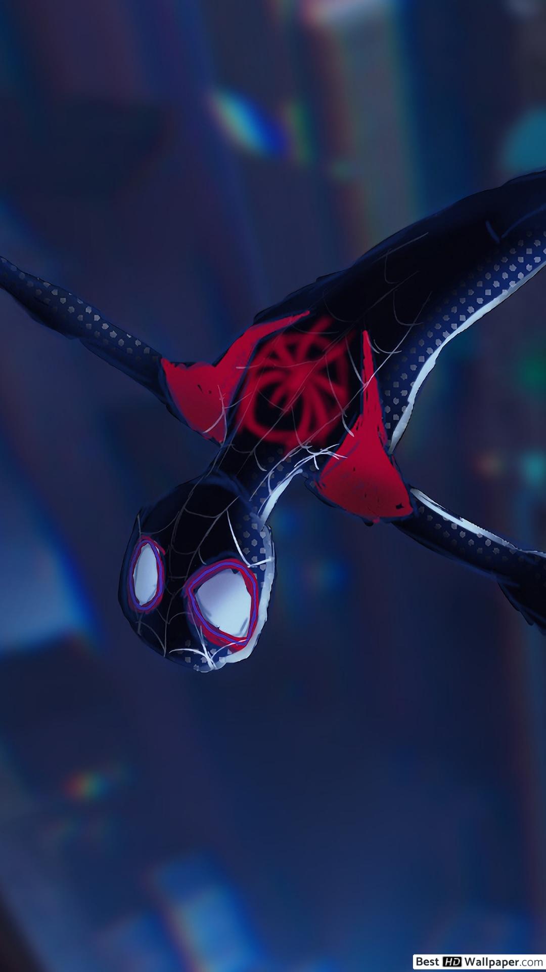 Spiderman Miles Morales 2018 - HD Wallpaper 