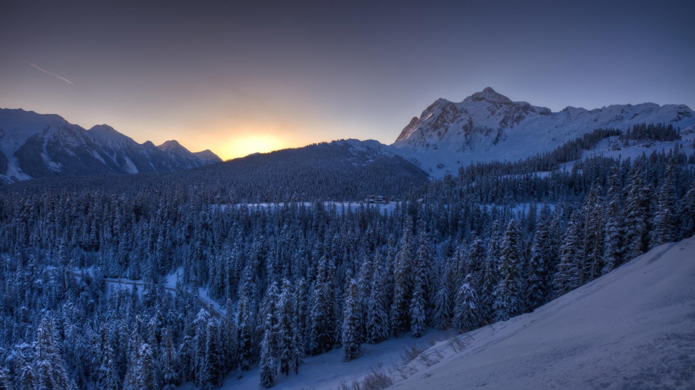 Wallpaper - HD Wallpaper 