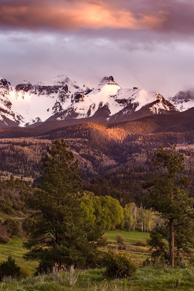 Iphone Wallpaper Colorado, San Juan Mountains, Forest, - San Juan Mountains - HD Wallpaper 