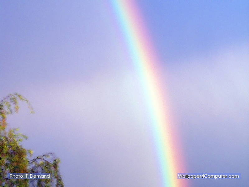 Rainbow - HD Wallpaper 