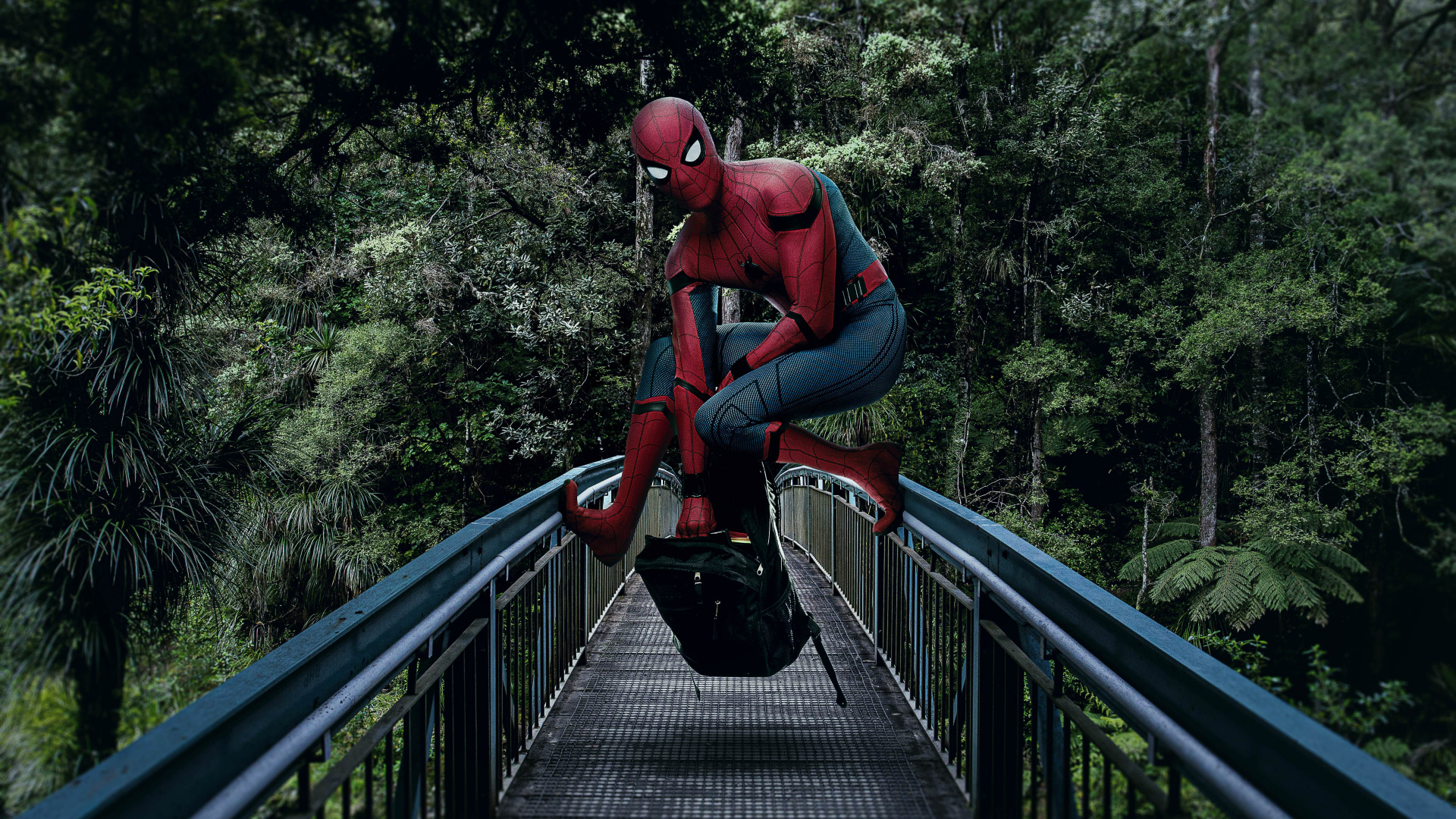 Spiderman Tapeta Na Telefon - HD Wallpaper 