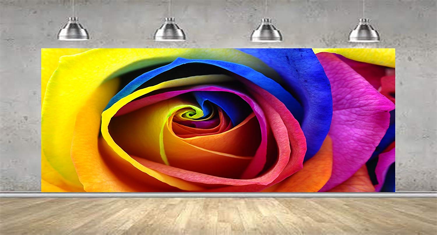 Garden Roses - HD Wallpaper 