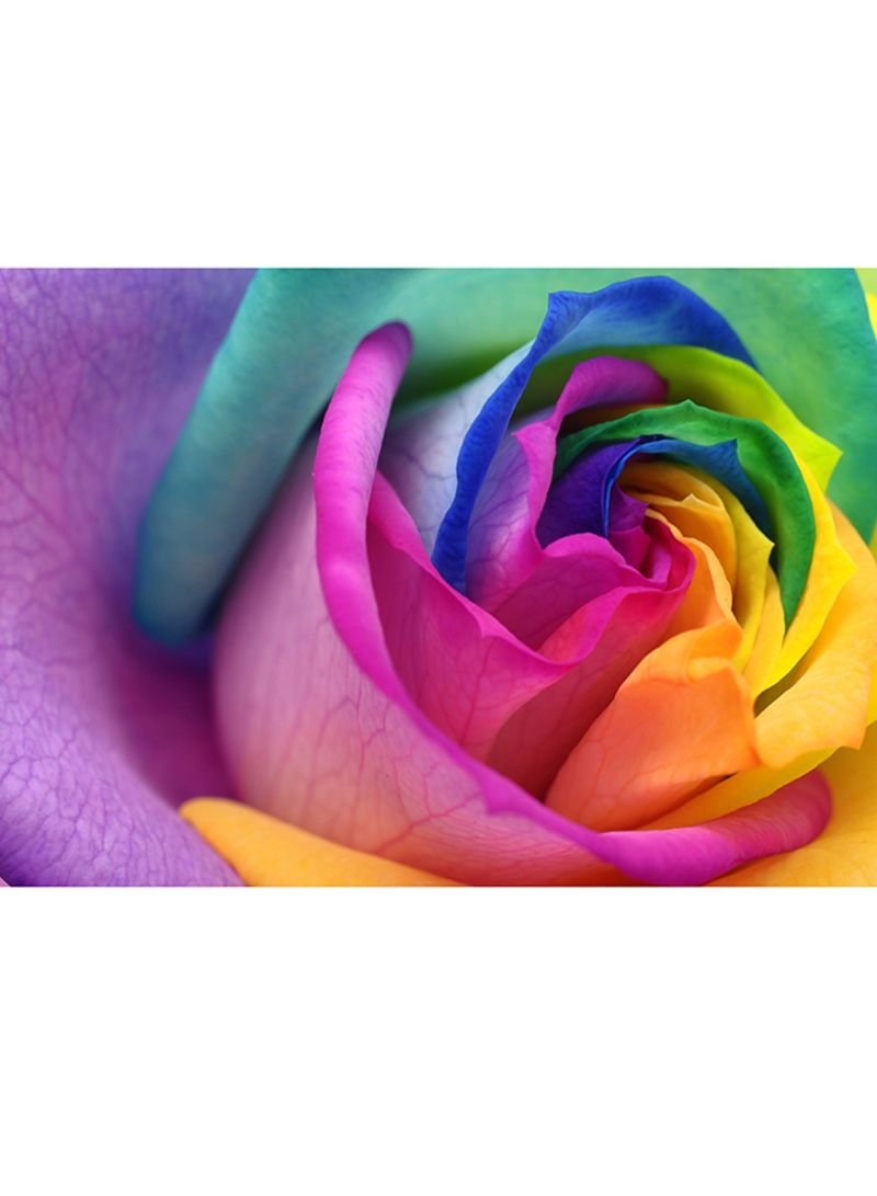 Renkli Çiçek Duvar Kağıtları - HD Wallpaper 