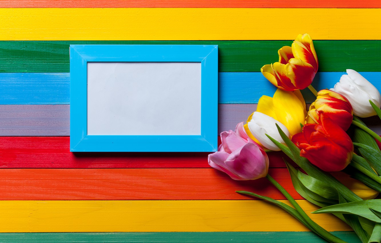 Photo Wallpaper Flowers, Rainbow, Colors, Colorful, - Tulip - HD Wallpaper 