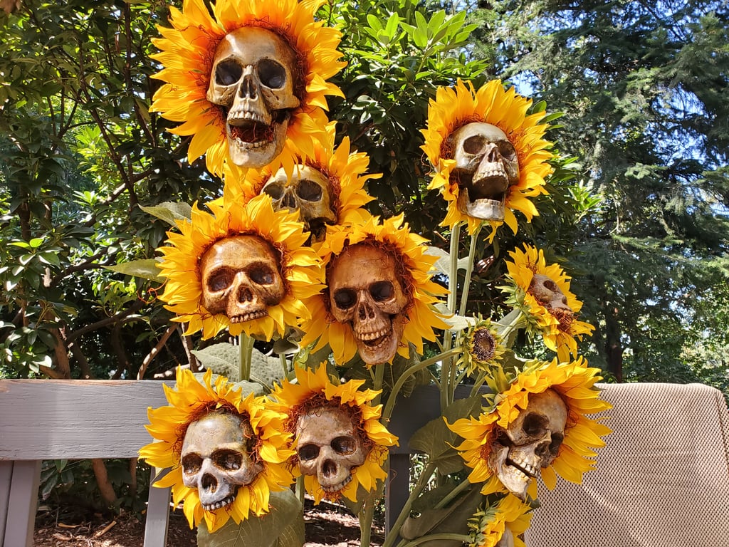 Sunflower Skulls Halloween - HD Wallpaper 