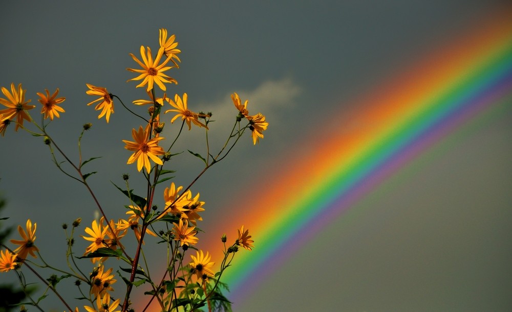 Aesthetic Rainbow Wallpaper Desktop - HD Wallpaper 