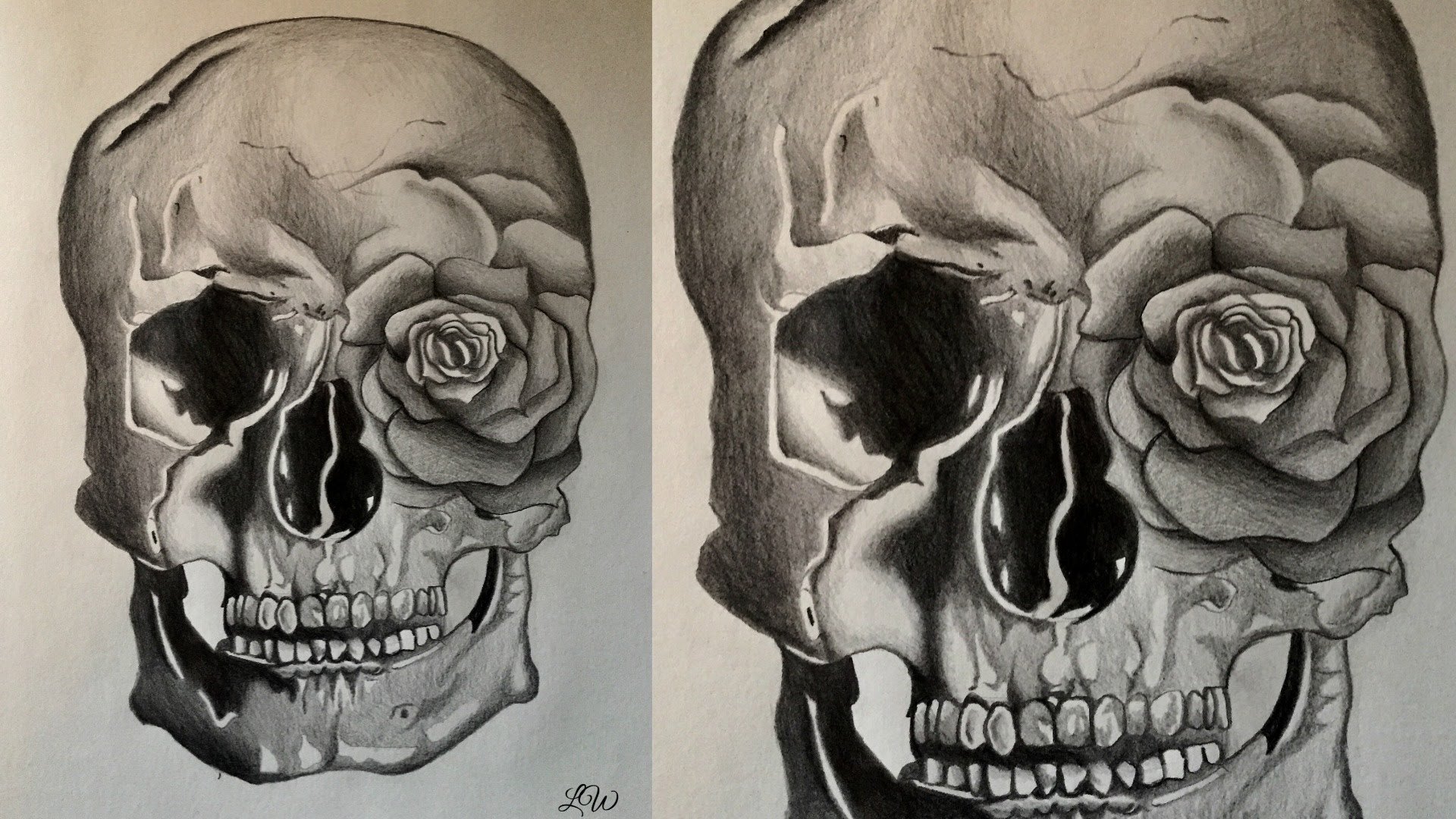 How To Draw A Rose Amp Skull - Skull Drawings With Roses - HD Wallpaper 