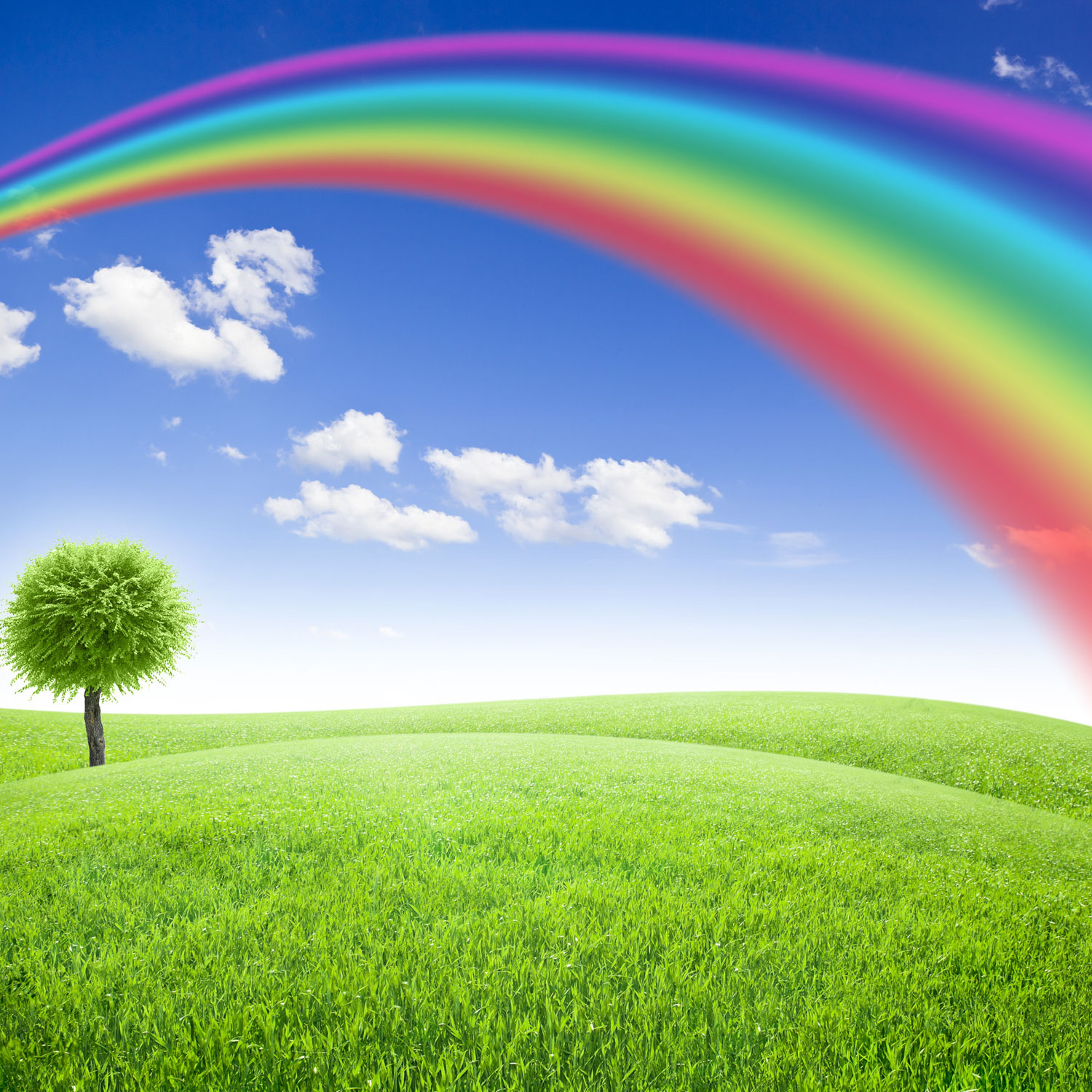 Rainbow Clouds - Green Field Rainbow - HD Wallpaper 