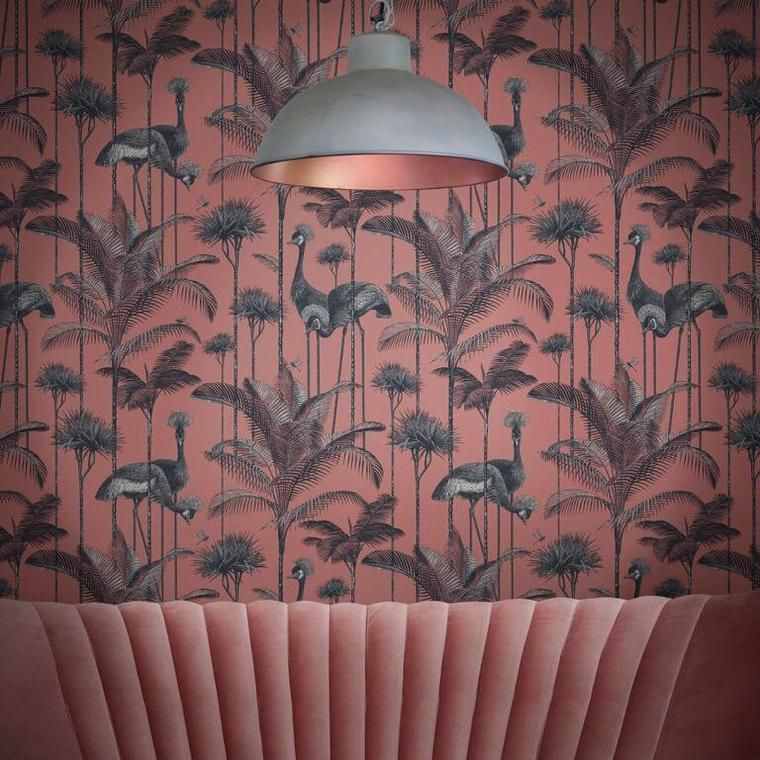 Divine Savage - HD Wallpaper 