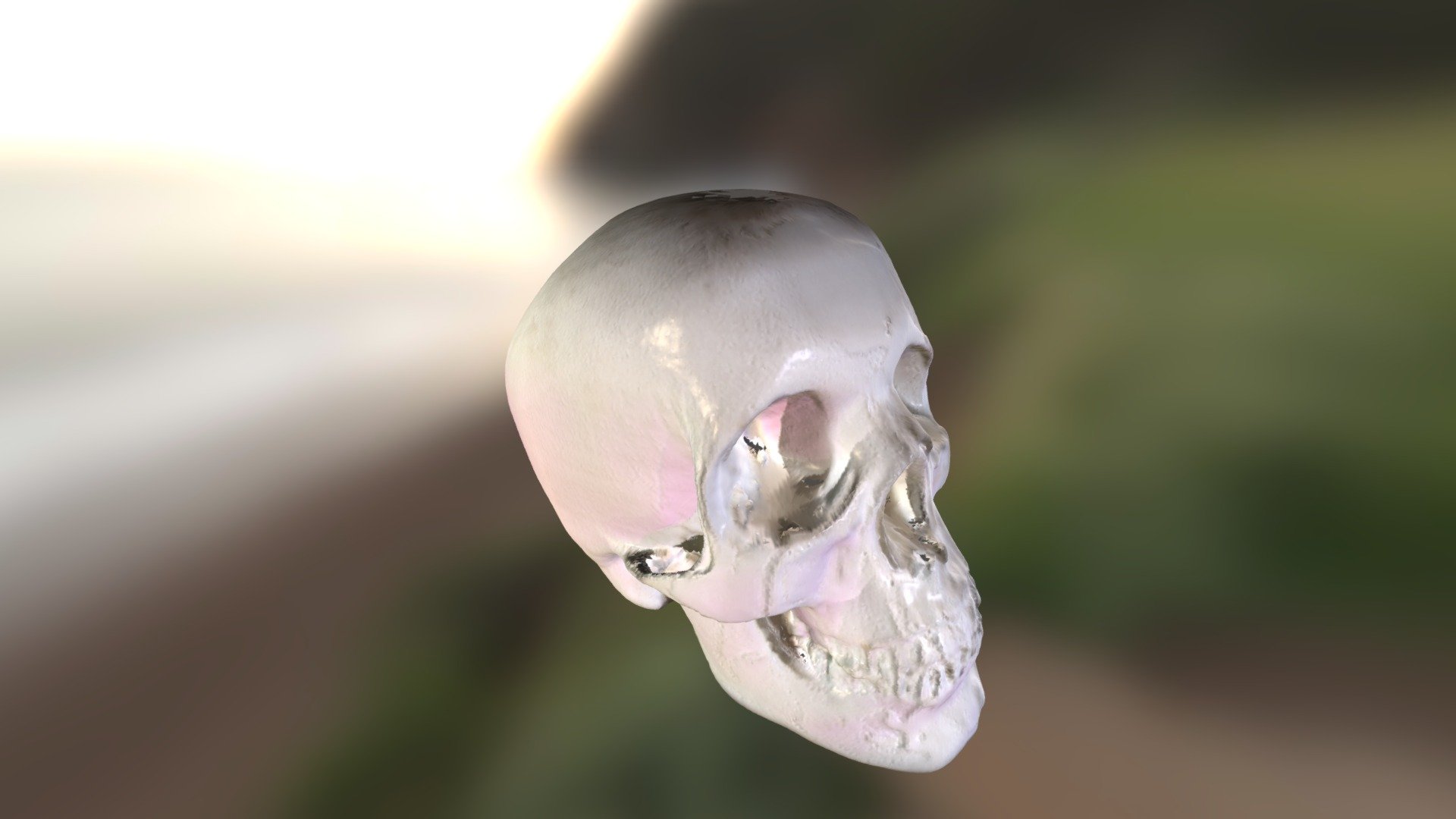 Macro Photography - HD Wallpaper 