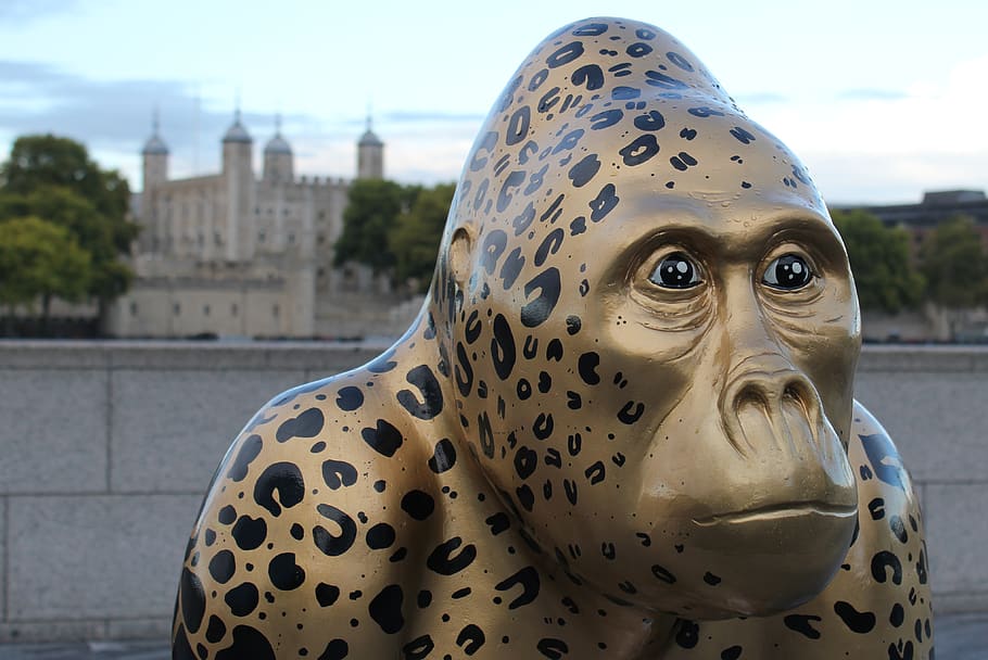 United Kingdom, London, Tower Of London, Art, Gorilla, - Monkey - HD Wallpaper 