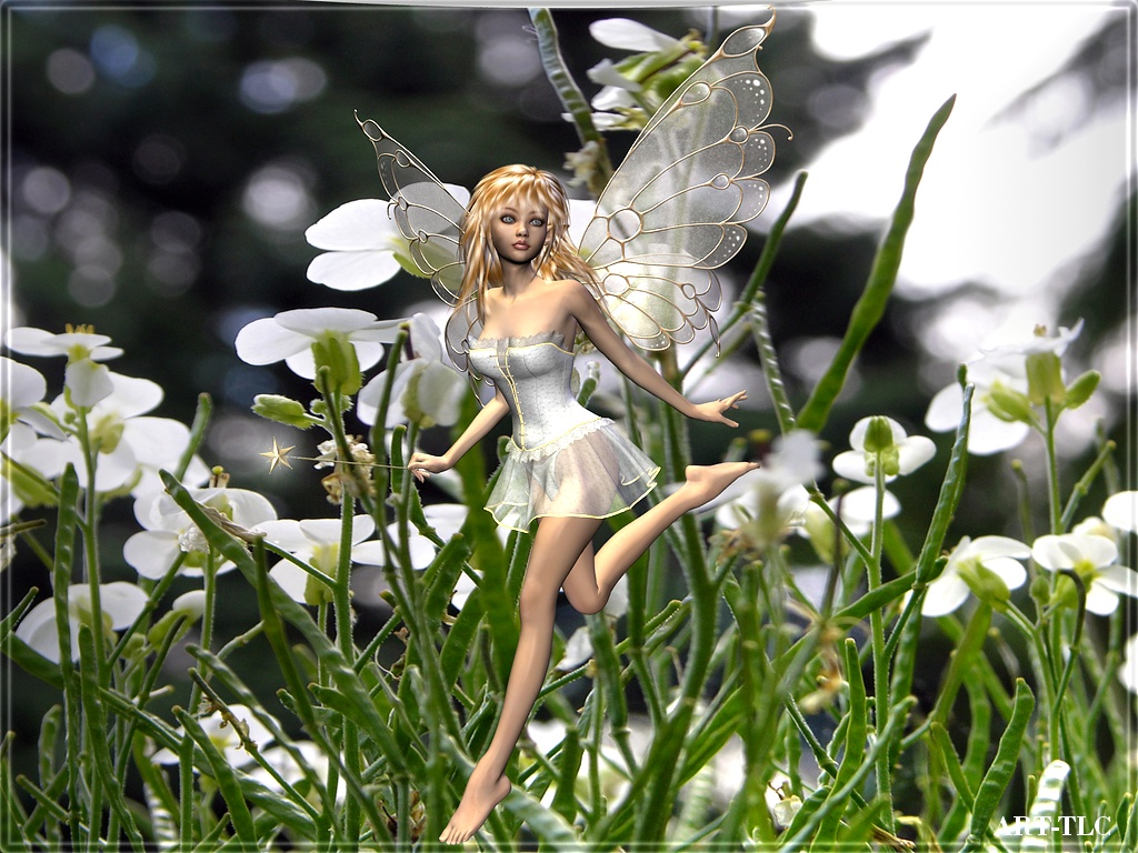 3d Fairy - HD Wallpaper 