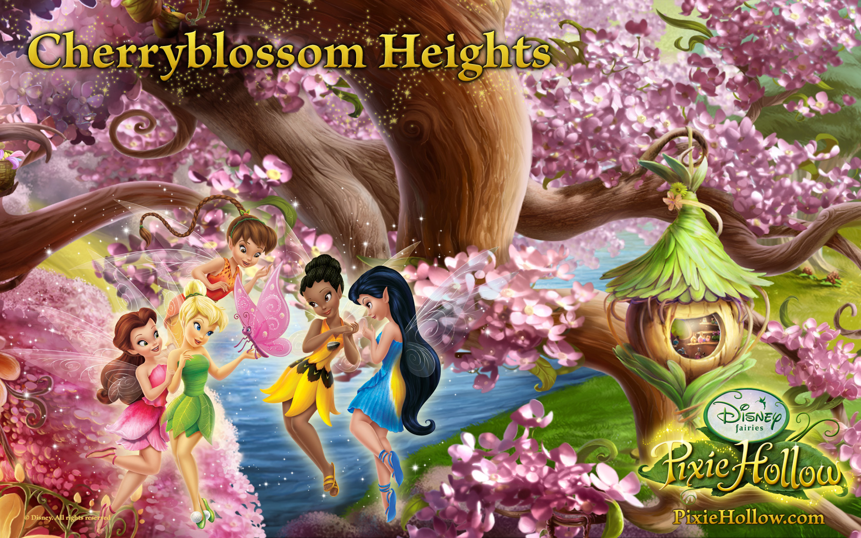 Fairies Disney Fairies - HD Wallpaper 