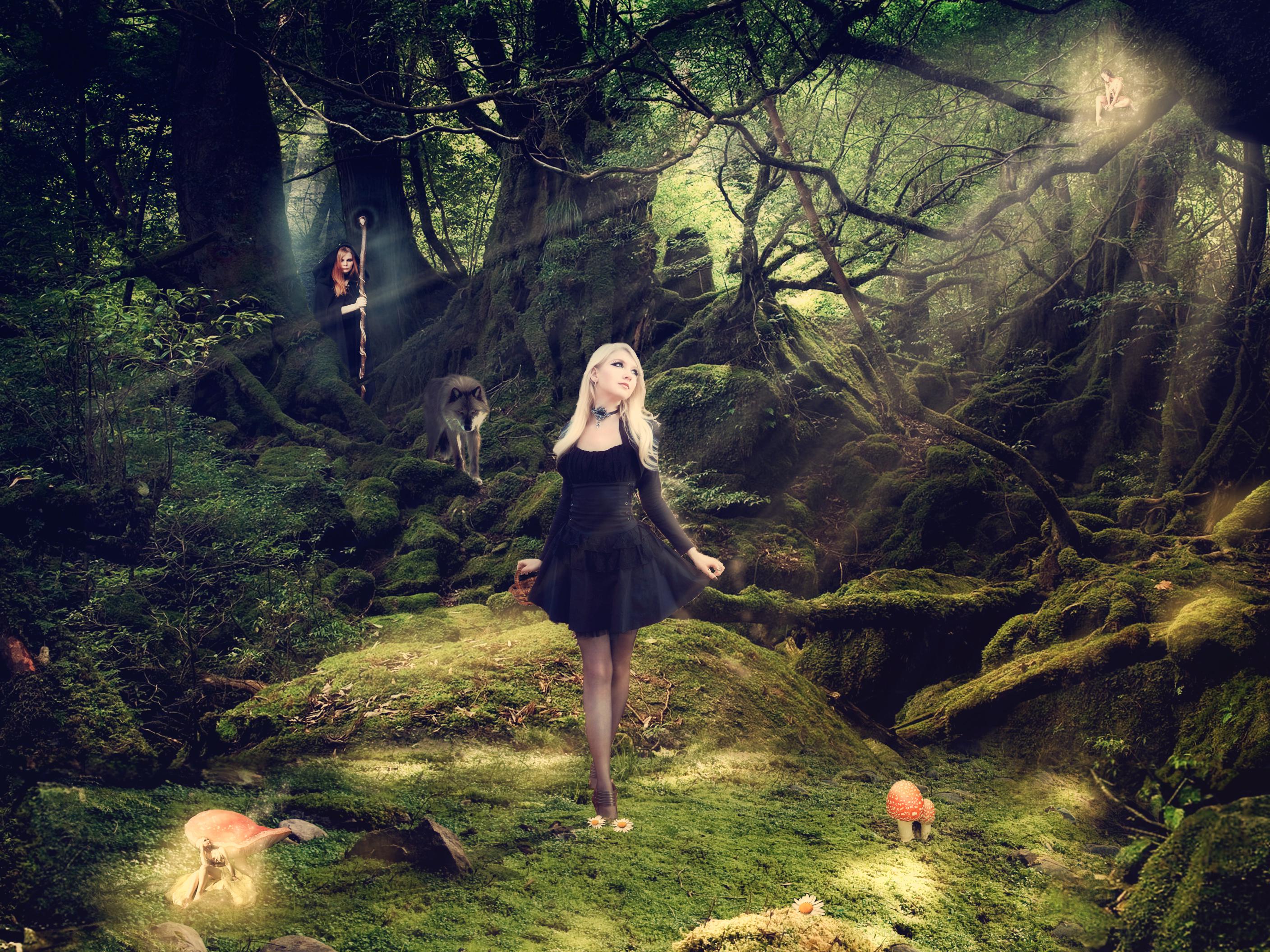 Fairy Tales - HD Wallpaper 