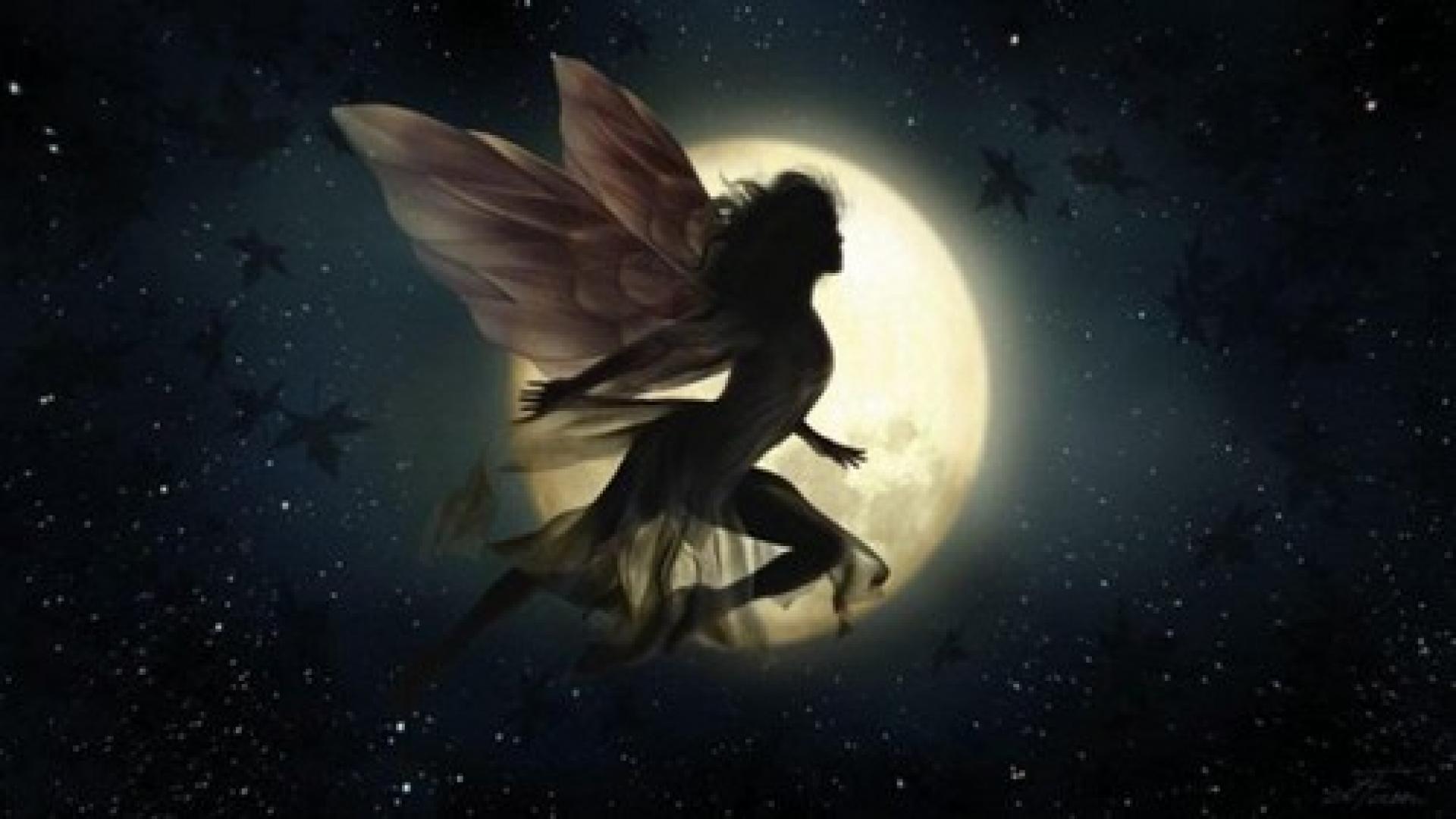 Fairies With Wings - HD Wallpaper 