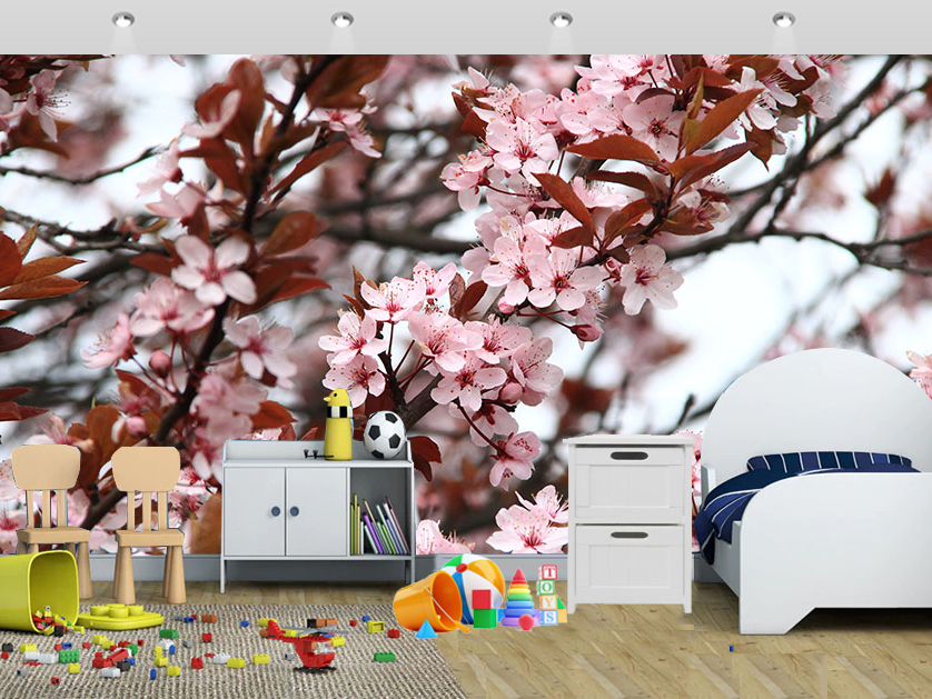 Spring Wall Mural Cherry Blossom In Spring Season Wallpaper - Spring Chrome Background - HD Wallpaper 