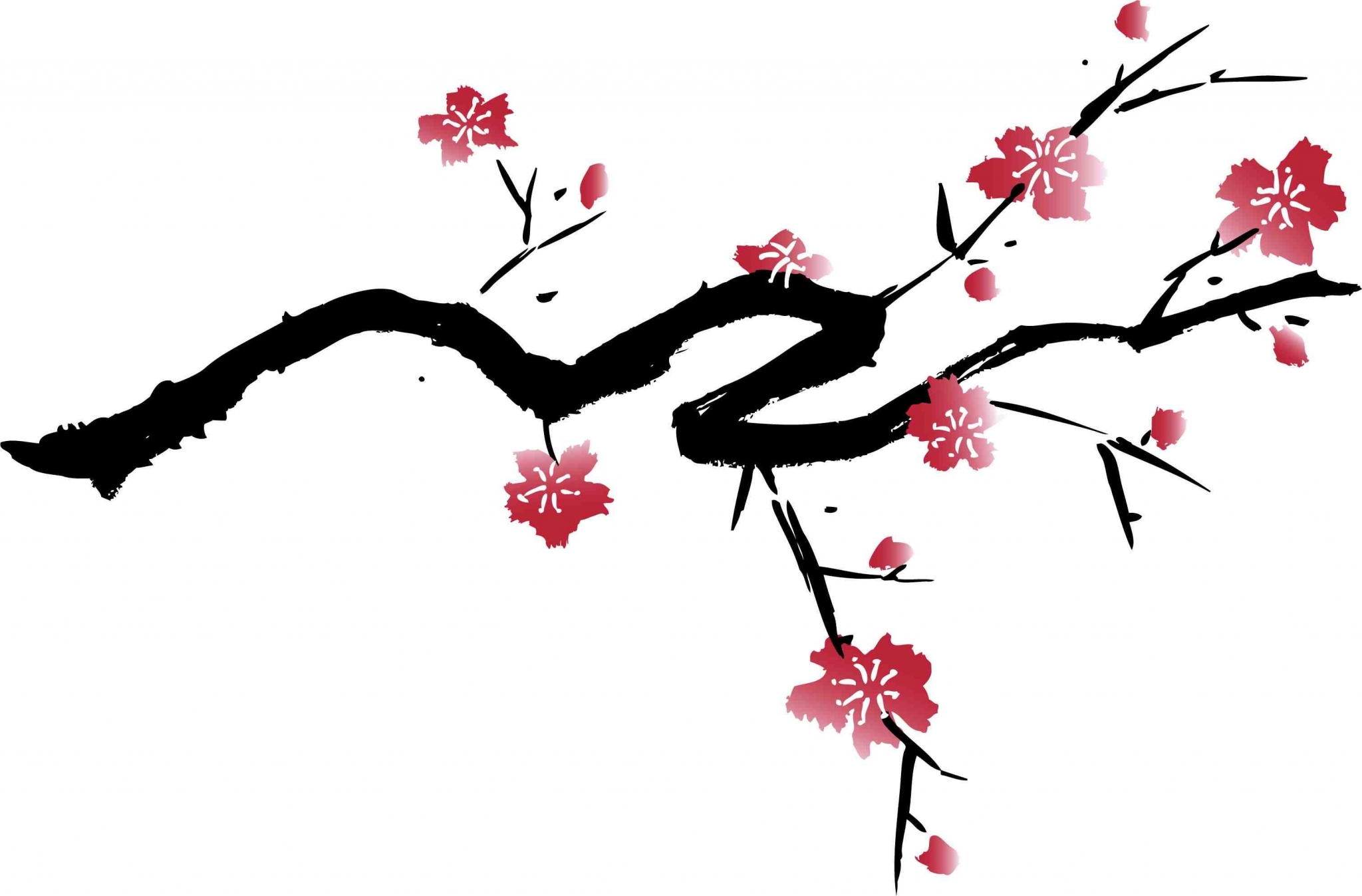 Cherry Blossom High Resolution Wallpapers Widescreen - Japanese Cherry Tree Drawing - HD Wallpaper 