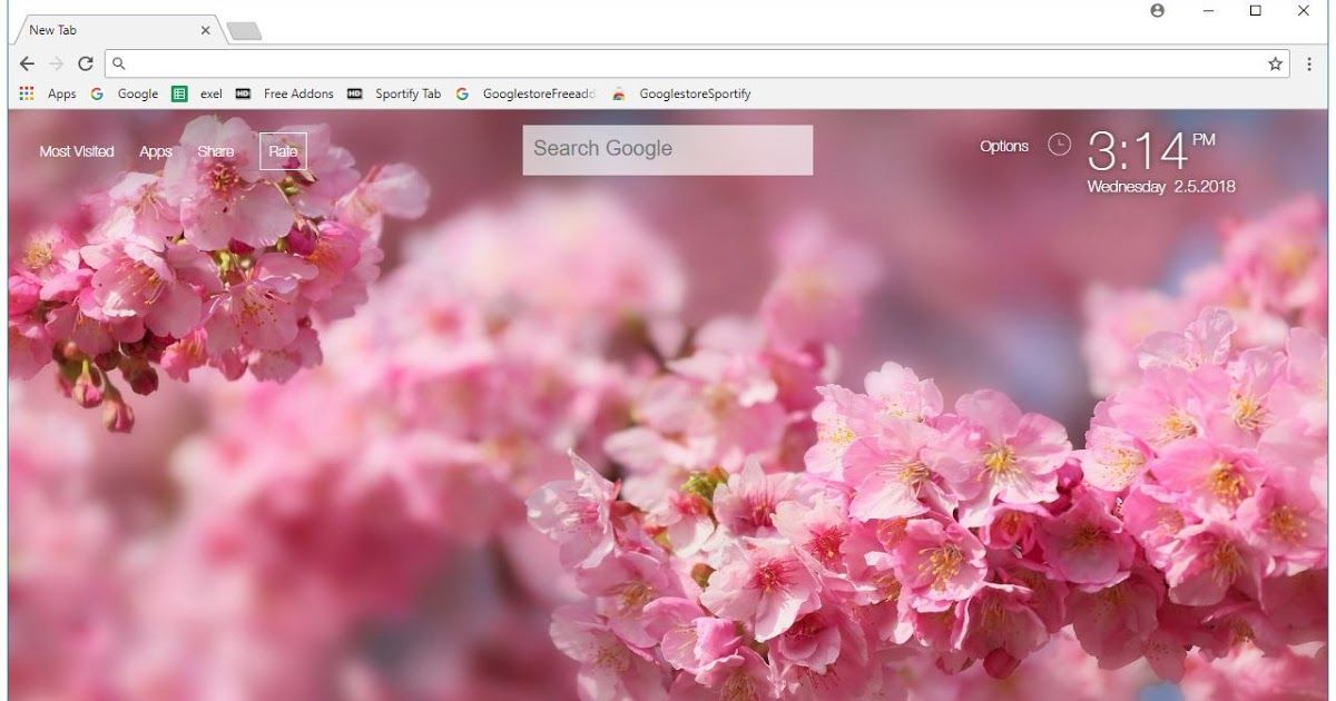 Cherry Blossom - HD Wallpaper 