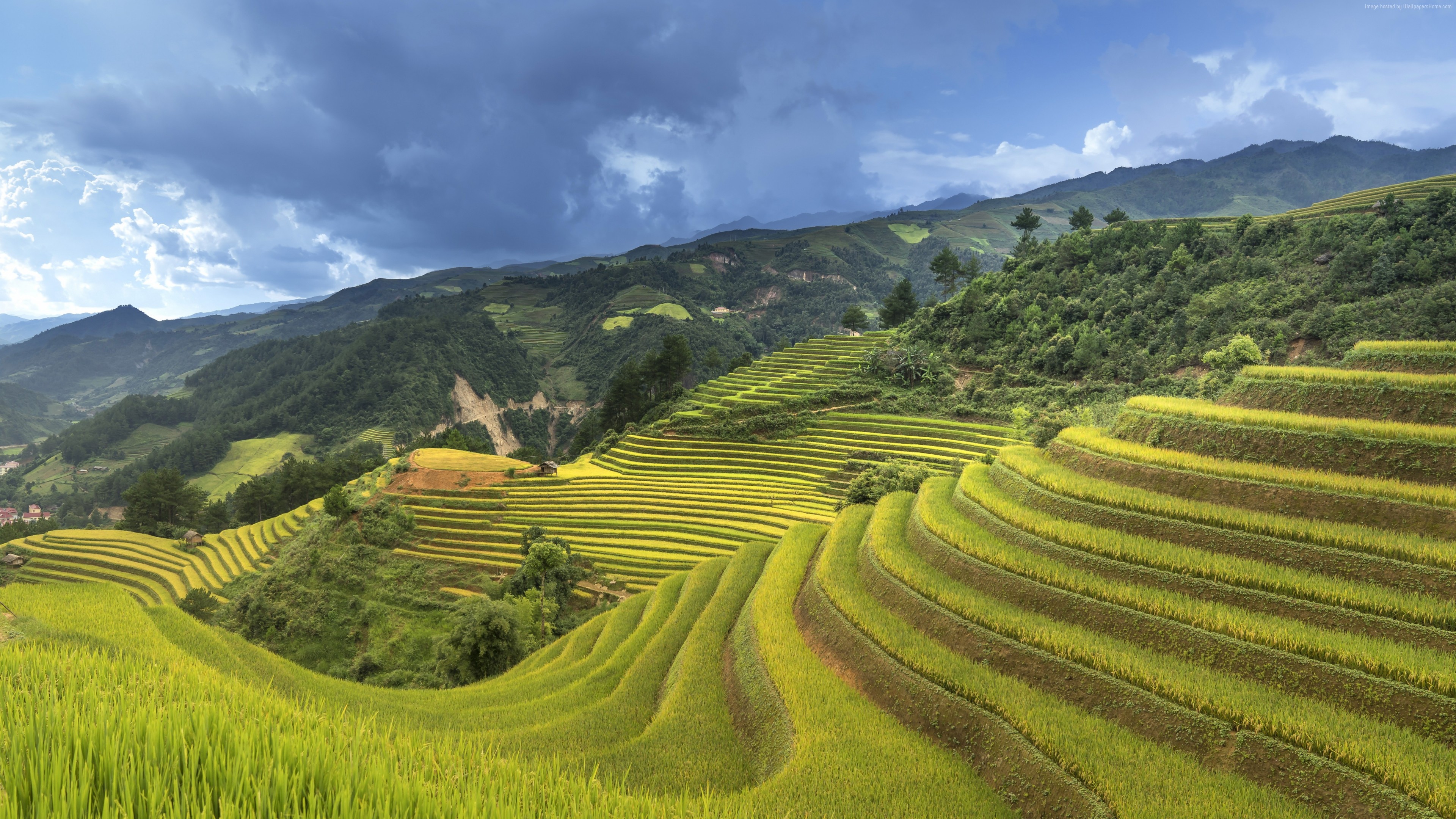 Wallpaper Rice Terrace, China, 5k, Travel - Rice Terraces - HD Wallpaper 
