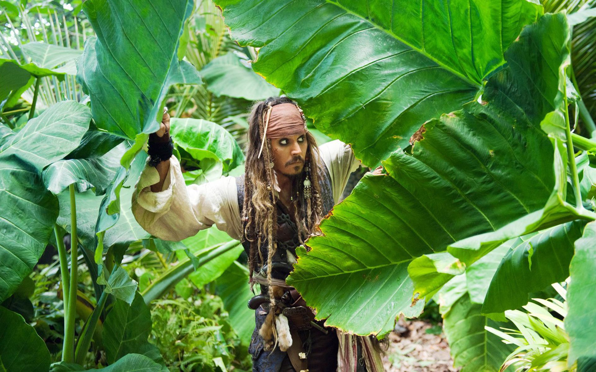 Jack Sparrow, Johnny Depp, Jungle, Leaves - Pirates Of The Caribbean 4 Jack Sparrow - HD Wallpaper 