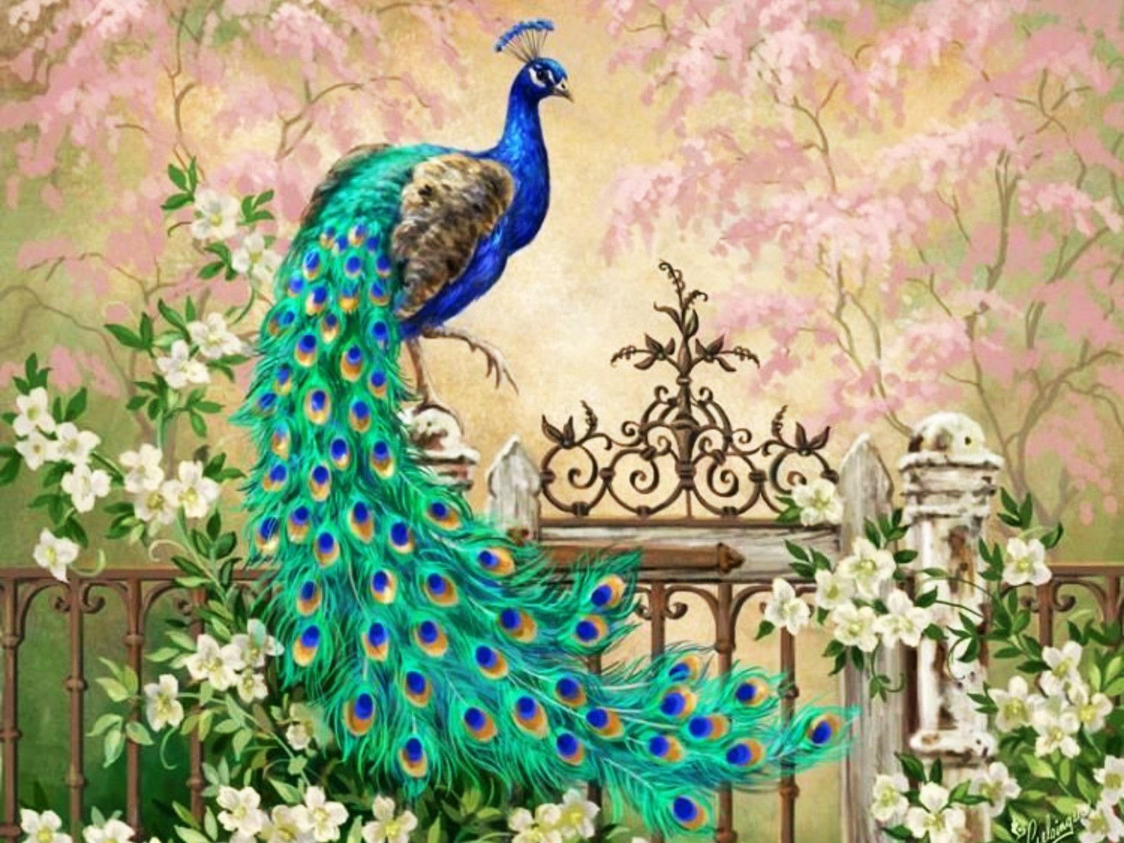 Cool Peacock Photos And Pictures, Peacock 100% Quality - Peacock Painting - HD Wallpaper 