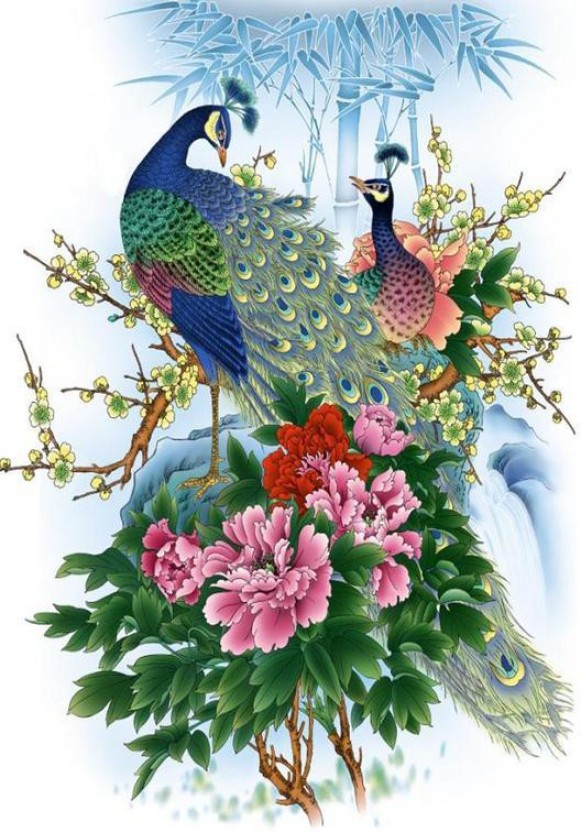 Good Morning With Peacock Feather - HD Wallpaper 