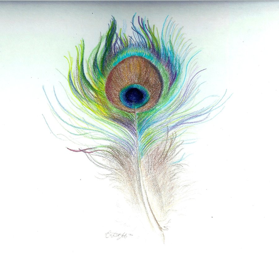 Peacock Feather By Shewhosoars On Tattoos - Colorful Peacock Feather Art - HD Wallpaper 
